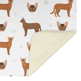 Abyssinian_blanket_V_Blanket_Sherpa_Mockup.png