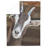 Goat_blanket_Regular_V_Blanket_Fold_Mockup.png