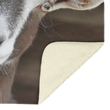 Goat_blanket_Regular_V_Blanket_Sherpa_Mockup.png