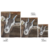 Goat_blanket_Regular_V_Blanket_Size_Options_Mockup.png