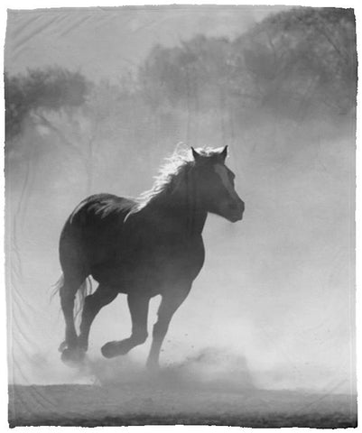 Horse Cozy Plush Fleece Blanket - 50x60