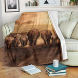 elephants- blanket