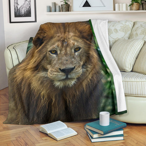 lion-blanket