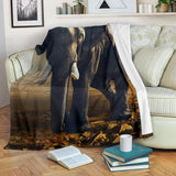 elephant-blanket