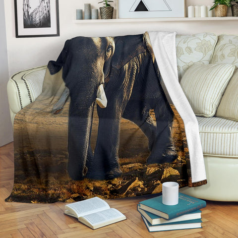 elephant-blanket
