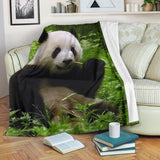 panda- blanket