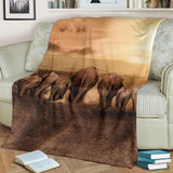 elephants- blanket