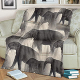elephant- blanket