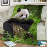 panda- blanket