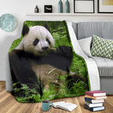 panda- blanket