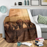 elephants- blanket