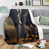 elephant-blanket