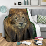 lion-blanket