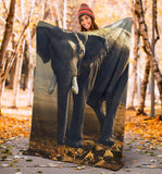 elephant-blanket