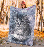 cat-blanket