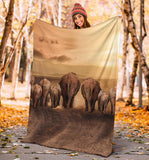 elephants- blanket