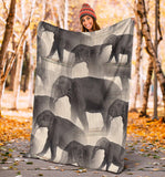elephant- blanket