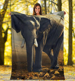 elephant-blanket