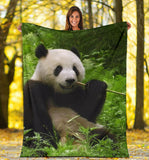 panda- blanket