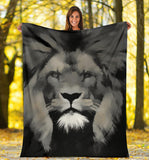 lions- blanket