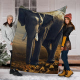 elephant-blanket