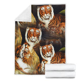 tigerts- blanket