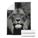 lions- blanket