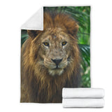 lion-blanket