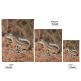 Antelope squirrels