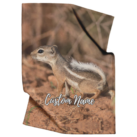 Antelope squirrels