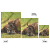 Bison