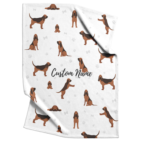 Bloodhound dog