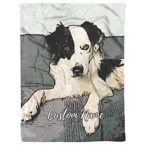 Border Collie