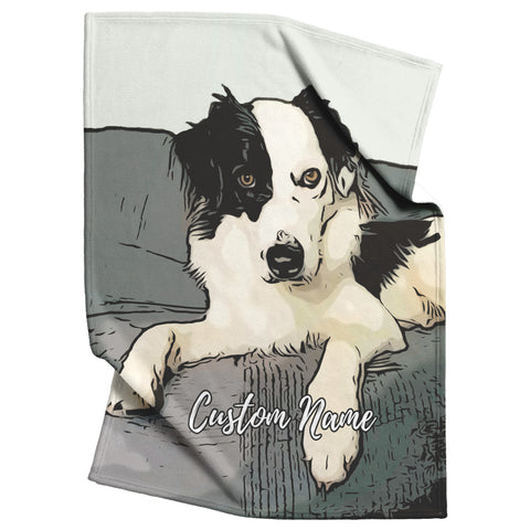 Border Collie