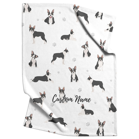 Boston terrier dog