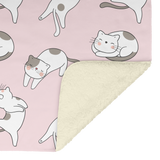 CatsCatsCats_V_Blanket_Sherpa_Mockup.png