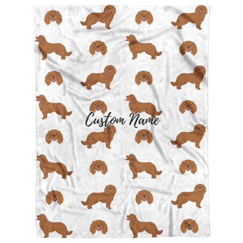 Cavalier king charles spaniel