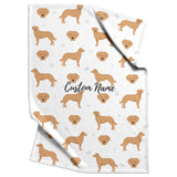 Chesapeake bay retriever