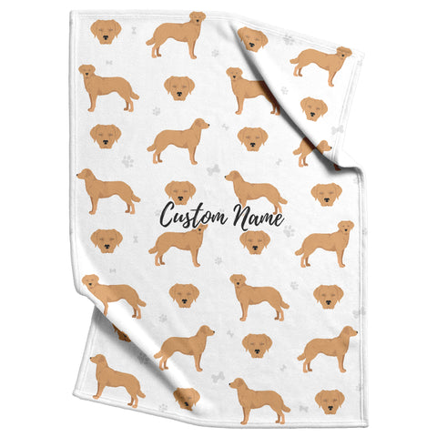 Chesapeake bay retriever