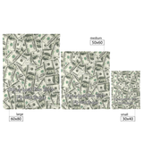 City_of_West_Palm_Beach_FY_2026_Budget_V_Blanket_Size_Options_Mockup.png