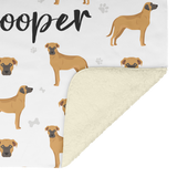 CooperCooperCooper_V_Blanket_Sherpa_Mockup.png