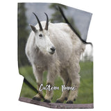 Mountain Goat