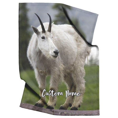 Mountain Goat