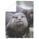 Otter_blanket_regular_V_Blanket_Fold_Mockup.png