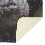 Otter_blanket_regular_V_Blanket_Sherpa_Mockup.png