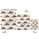 beaver