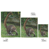 coati