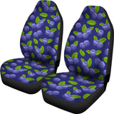 Blueberry car seats regular