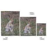 jackrabbit