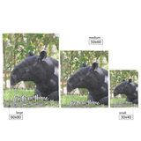 wild_tapir_V_Blanket_Size_Options_Mockup.png